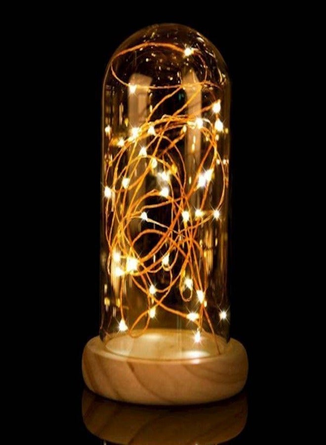 Taimi warm white light lamps 10 meters party room decor out door decoration led string fairy lights 100 led - Image 4